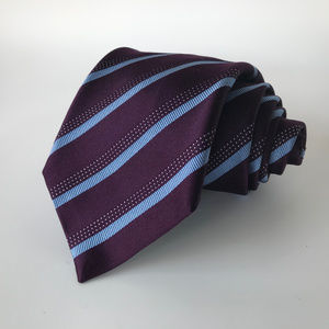 Ermenegildo Zegna Purple & Blue Stripes Neck Tie